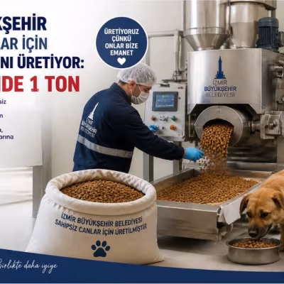 İzmir’de Sokak Hayvanları İçin Kendi Yemini Üreten Model: Günlük Kapasite 1 Tona Çıkıyor