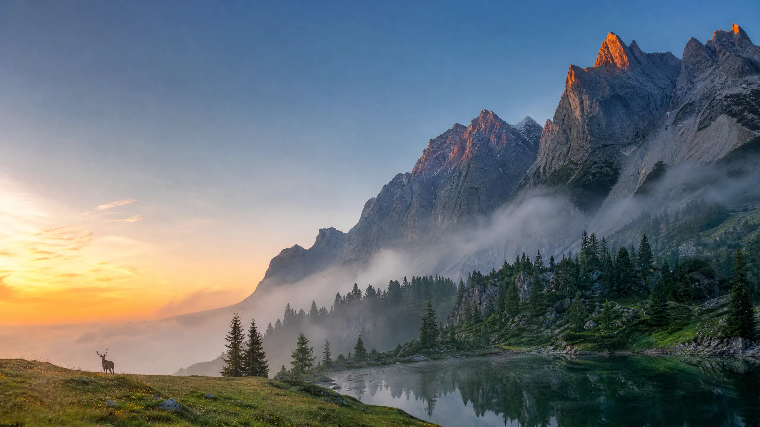 Almanya'nın Büyülü Dağları National Geographic WILD Ekranlarında