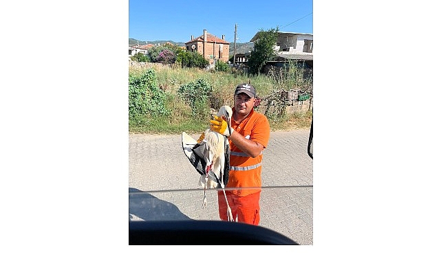 Belediye Iscisi Gorevi Sirasinda Buldugu Yarali Leylegin Imdadina Yetisti