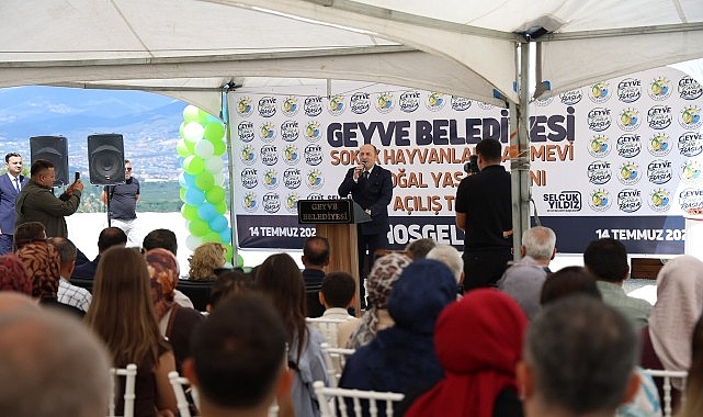 Geyvede Sokak Hayvanlari Icin De Yeni Donem Basladi