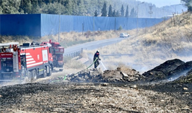 Izmir Itfaiyesi Bukalemunu Hayata Dondurdu