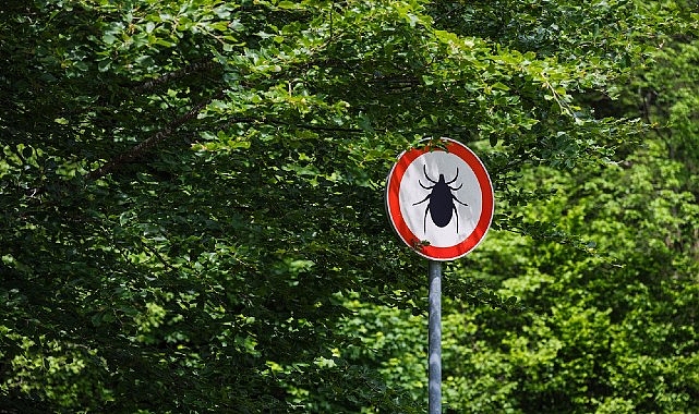 Kene Isiriginda Erken Mudahale Hayat Kurtariyor
