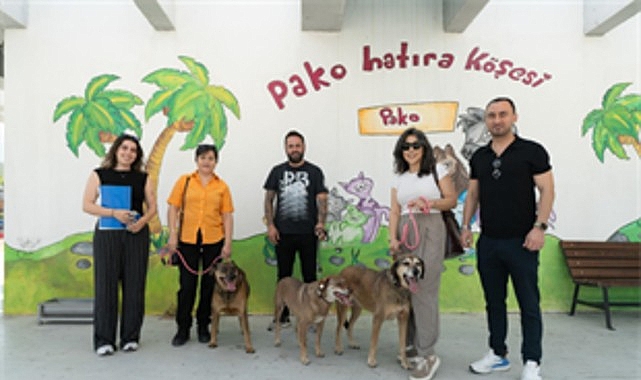 Bir proje uc dost hic kopmayan bag.jpg