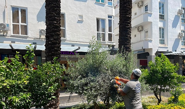 buyuksehir ekiplerinden kemer liman caddesinde calisma.jpg