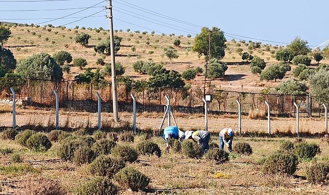 didim belediyesi uretiyor didim guzellesiyor.jpg