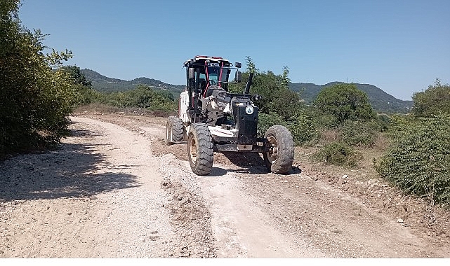 kandira belediyesinden findik hasadi oncesi ureticiye yol destegi.jpg